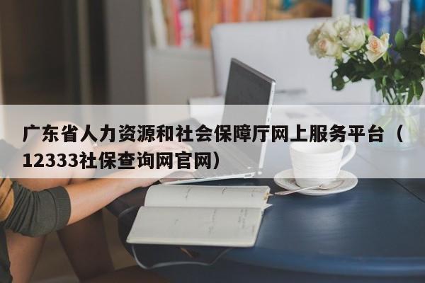 广东省人力资源和社会保障厅网上服务平台（12333社保查询网官网）
