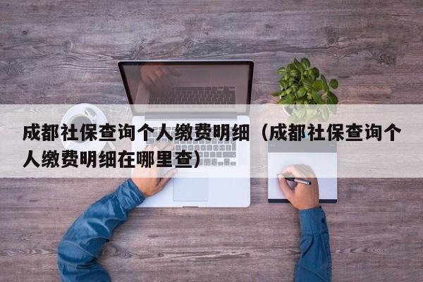 成都社保查询个人缴费明细（成都社保查询个人缴费明细在哪里查）