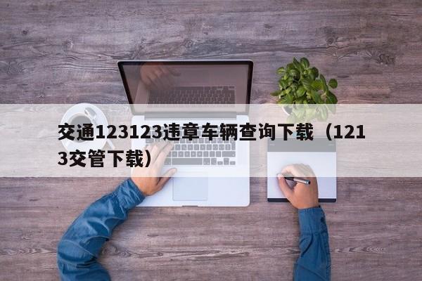 交通123123违章车辆查询下载（1213交管下载）