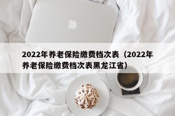 2022年养老保险缴费档次表（2022年养老保险缴费档次表黑龙江省）