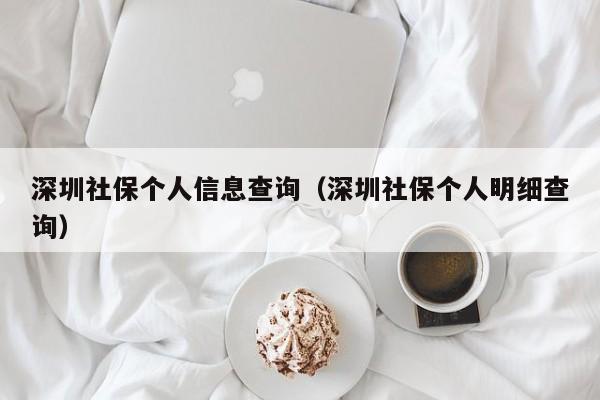 深圳社保个人信息查询（深圳社保个人明细查询）