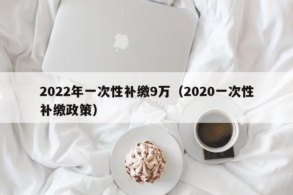 2022年一次性补缴9万（2020一次性补缴政策）