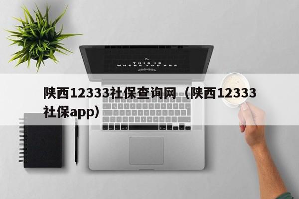 陕西12333社保查询网（陕西12333社保app）