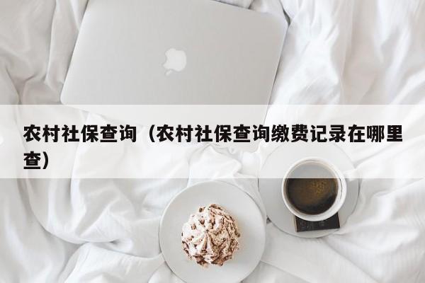 农村社保查询（农村社保查询缴费记录在哪里查）