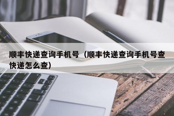 顺丰快递查询手机号（顺丰快递查询手机号查快递怎么查）