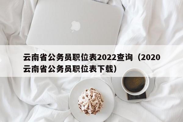 云南省公务员职位表2022查询（2020云南省公务员职位表下载）