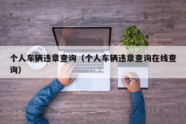 个人车辆违章查询（个人车辆违章查询在线查询）