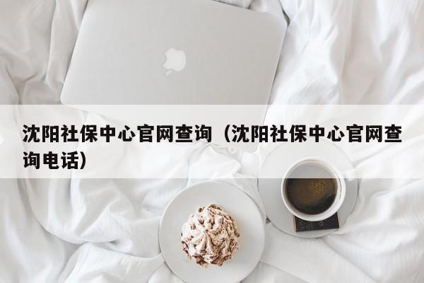 沈阳社保中心官网查询（沈阳社保中心官网查询电话）
