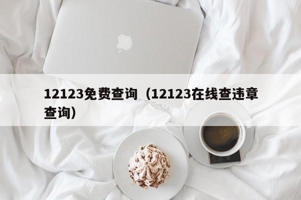 12123免费查询（12123在线查违章查询）