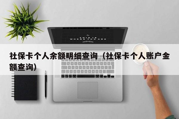 社保卡个人余额明细查询（社保卡个人账户金额查询）
