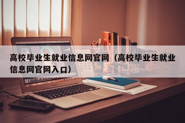 高校毕业生就业信息网官网（高校毕业生就业信息网官网入口）