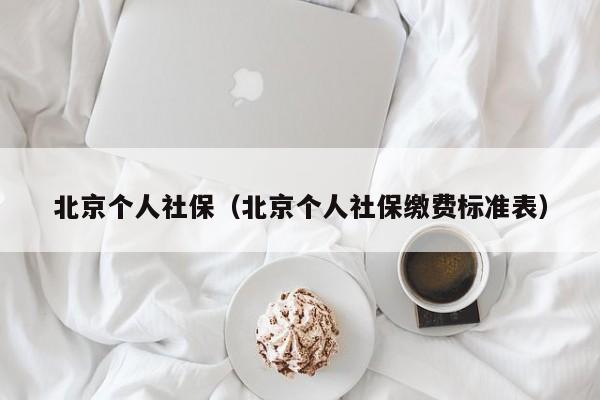 北京个人社保（北京个人社保缴费标准表）