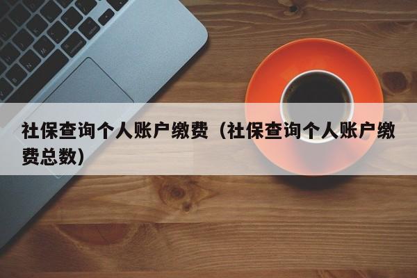 社保查询个人账户缴费（社保查询个人账户缴费总数）