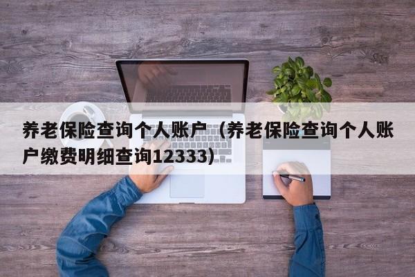 养老保险查询个人账户（养老保险查询个人账户缴费明细查询12333）