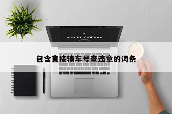 包含直接输车号查违章的词条