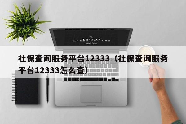社保查询服务平台12333（社保查询服务平台12333怎么查）