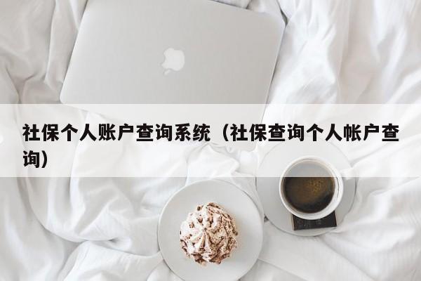 社保个人账户查询系统（社保查询个人帐户查询）