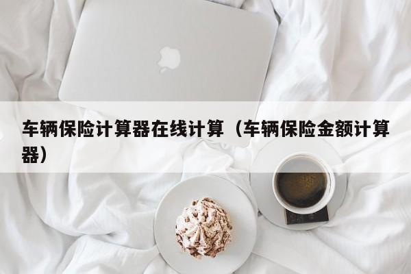 车辆保险计算器在线计算（车辆保险金额计算器）