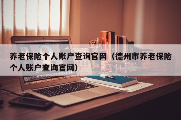 养老保险个人账户查询官网（德州市养老保险个人账户查询官网）