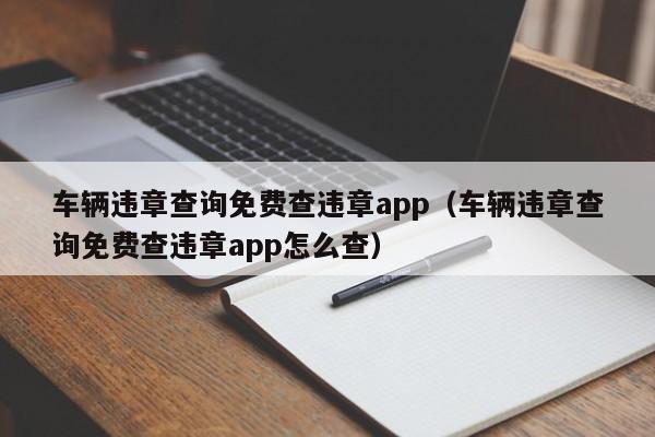 车辆违章查询免费查违章app（车辆违章查询免费查违章app怎么查）
