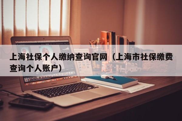 上海社保个人缴纳查询官网（上海市社保缴费查询个人账户）