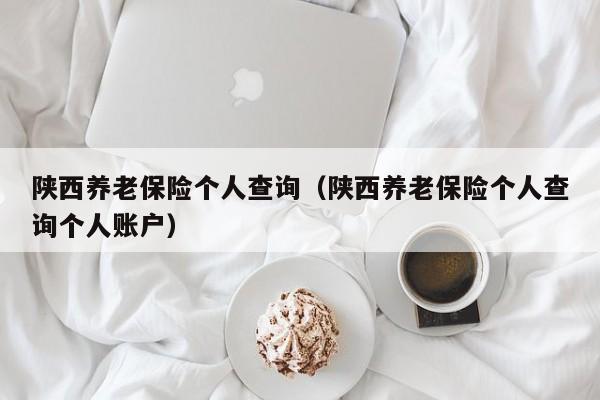 陕西养老保险个人查询（陕西养老保险个人查询个人账户）