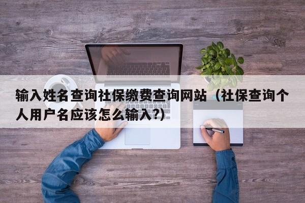 输入姓名查询社保缴费查询网站（社保查询个人用户名应该怎么输入?）