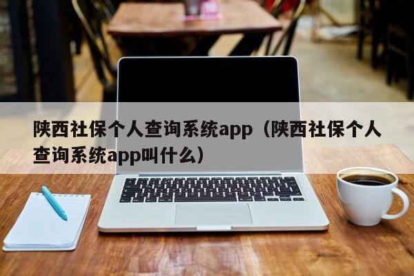 陕西社保个人查询系统app（陕西社保个人查询系统app叫什么）