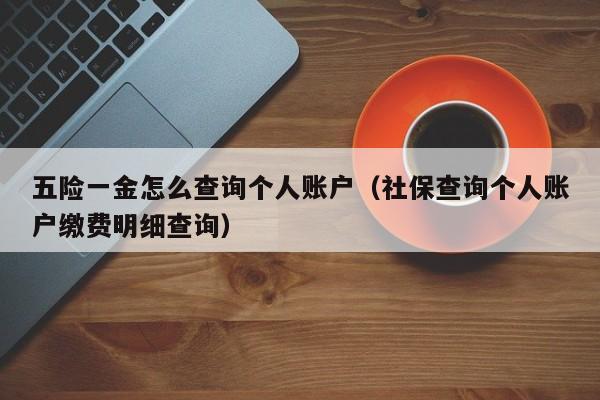五险一金怎么查询个人账户（社保查询个人账户缴费明细查询）