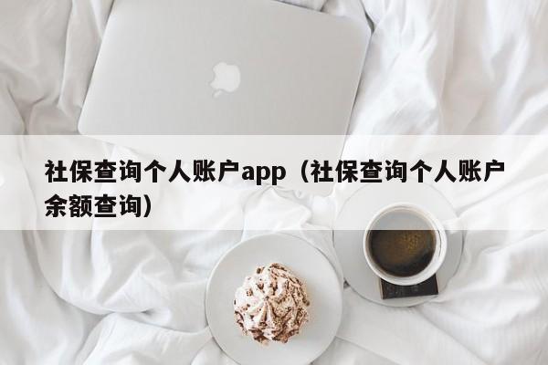 社保查询个人账户app（社保查询个人账户余额查询）