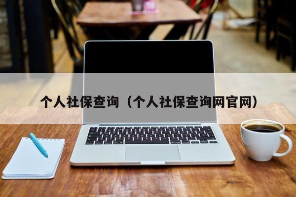 个人社保查询（个人社保查询网官网）