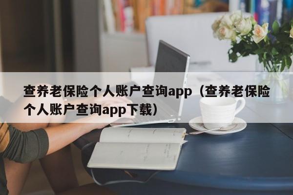 查养老保险个人账户查询app（查养老保险个人账户查询app下载）
