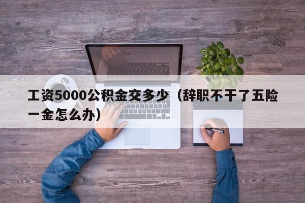 工资5000公积金交多少（辞职不干了五险一金怎么办）