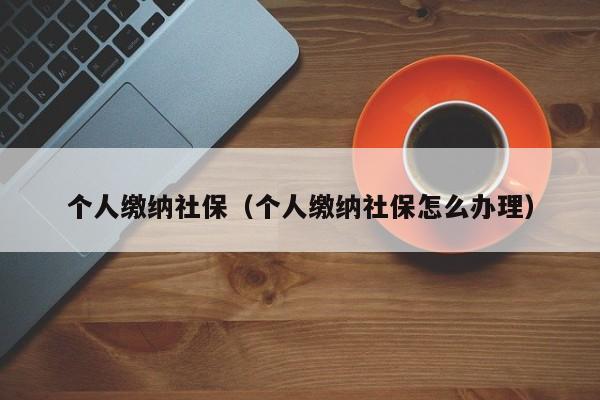 个人缴纳社保（个人缴纳社保怎么办理）